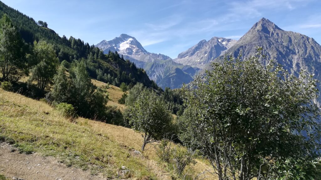 Vue sur la Muzelle et le pic de Venosc depuis les 2 alpes