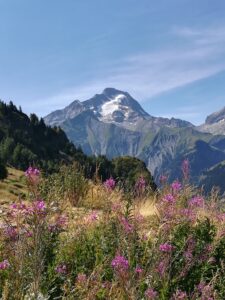 Vue sur la Muzelle depuis les 2 Alpes