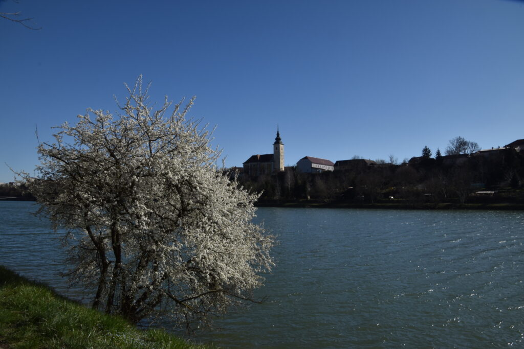 La Drave, rivière traversant la ville de Maribor