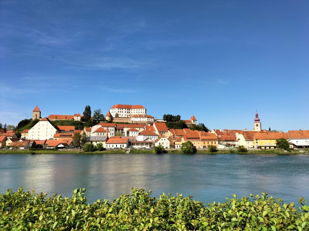 Vue sur la ville de Ptuj avec la Drave devant, rivière qui traverse la ville