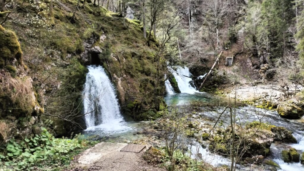 Petites cascades à côté de la source Izvir Bohinjske Bistrice, Slovénie