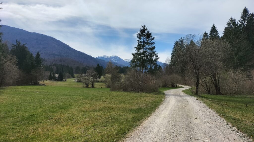 Chemin qui permet de rejoindre le parking depuis Izvir Bohinsjke Bistrice. Vue sur les montagnes et les prés, Slovénie. 