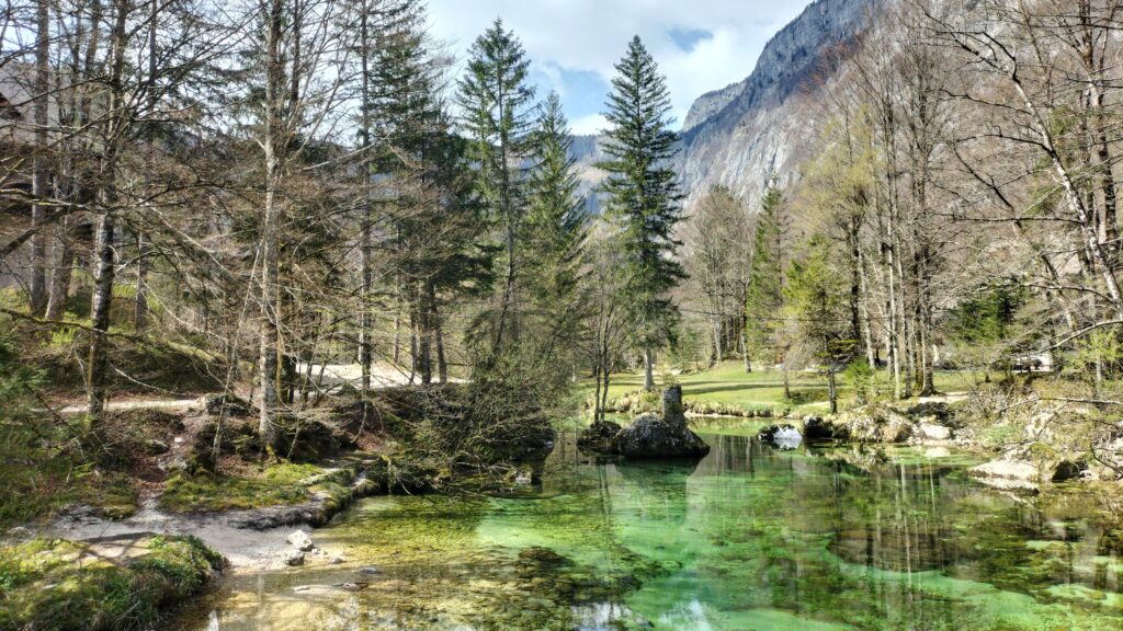 Rivière de couleur verte autour du lac de Bohinj, Slovénie