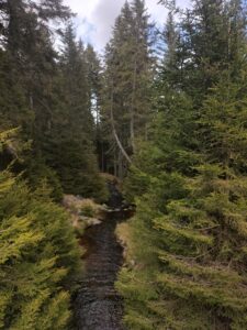 Ruisseau aux alentours de la Slap Veliki Sumik