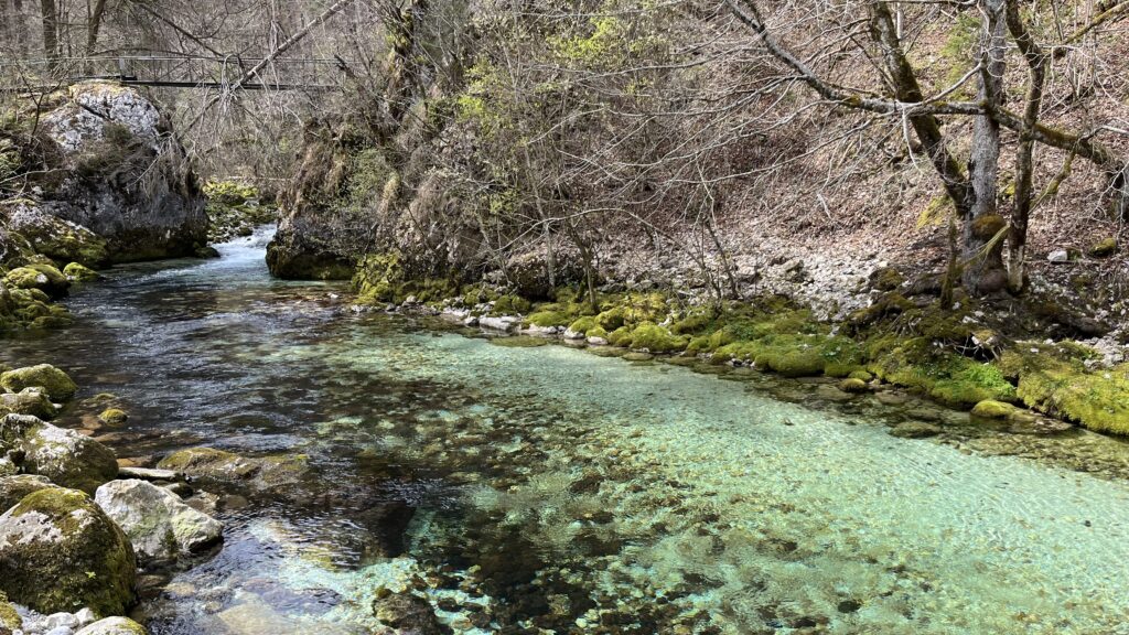 Rivière Bistrica, qui prend sa source à Izvir Bohinjske Bistrice, Slovénie