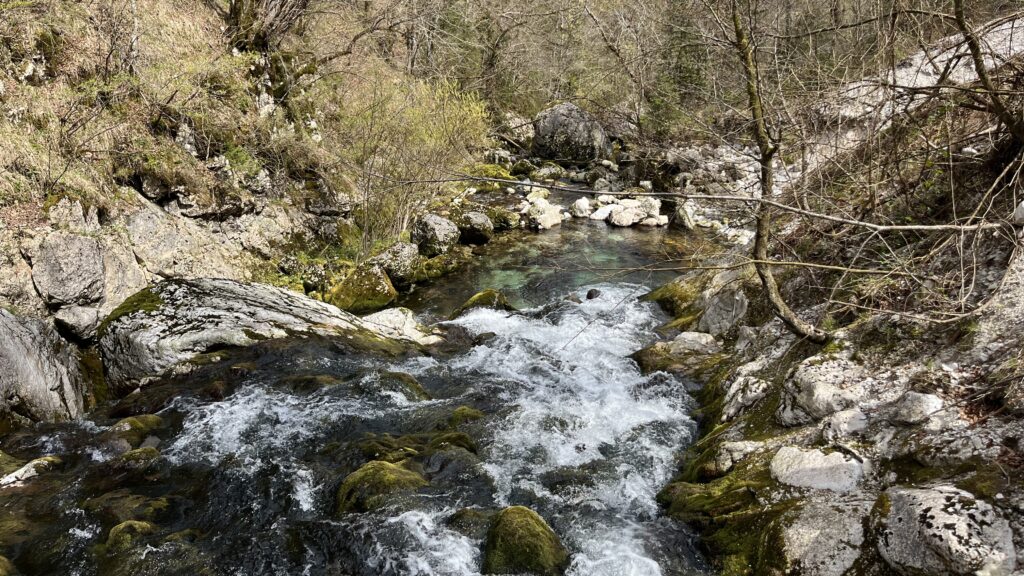 Rivière Bistrica qui prend sa source à Izvir Bohinjske BIstrice, Slovénie