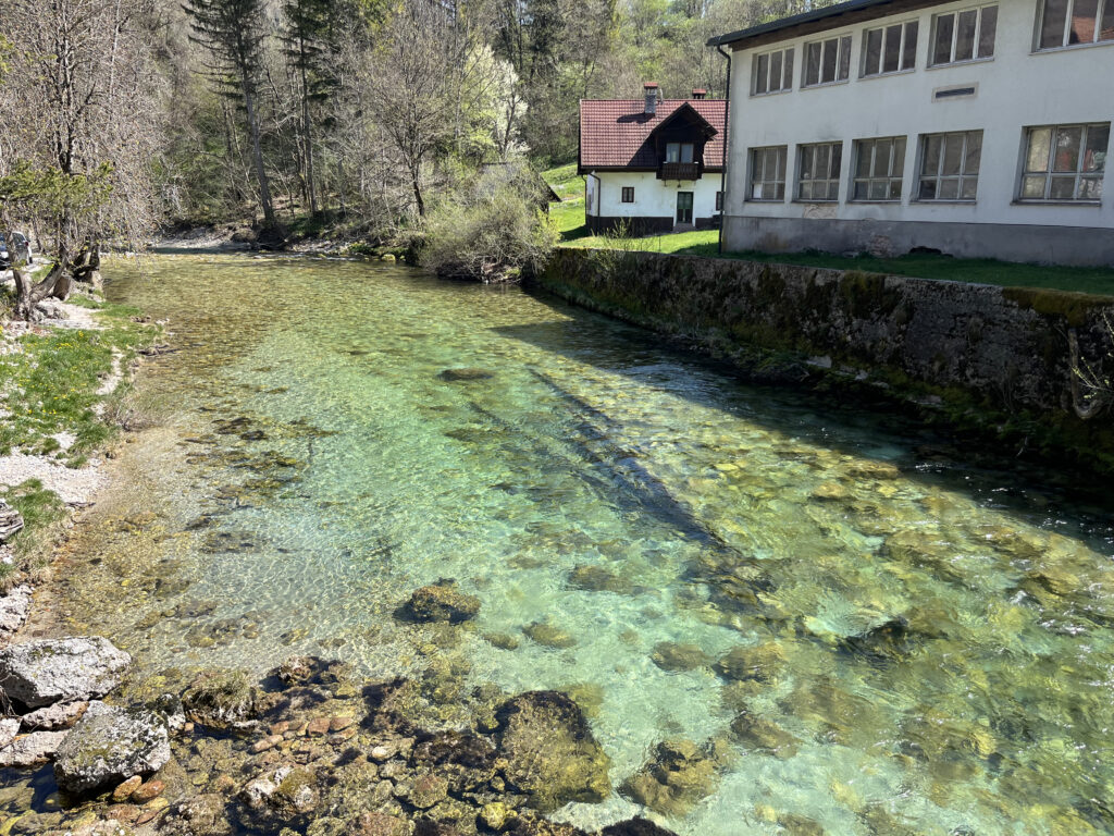 Gorges de Vintgar, Slovénie