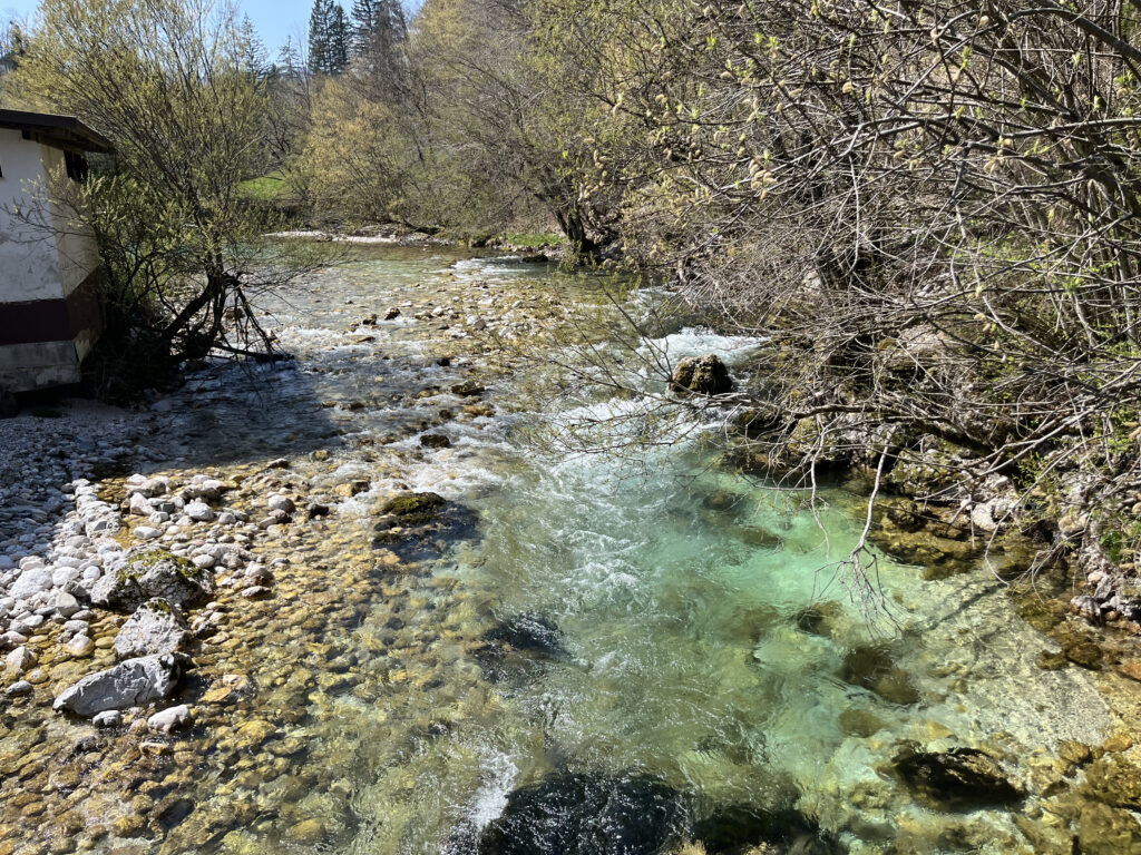 Gorges de Vintgar, Slovénie