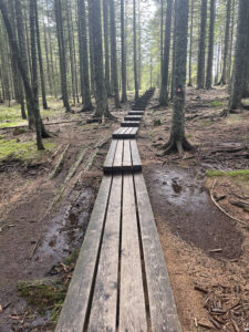 Chemin en bois allant vers la Slap Veliki Sumik