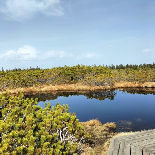 GPX - Rogla (Lovrenska jezera)