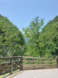 Vue sur les montagnes depuis les hauteurs de Tolminska Korita