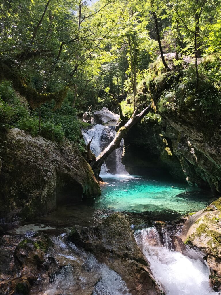 Sunikov vodni gaj, Lepena, Slovénie