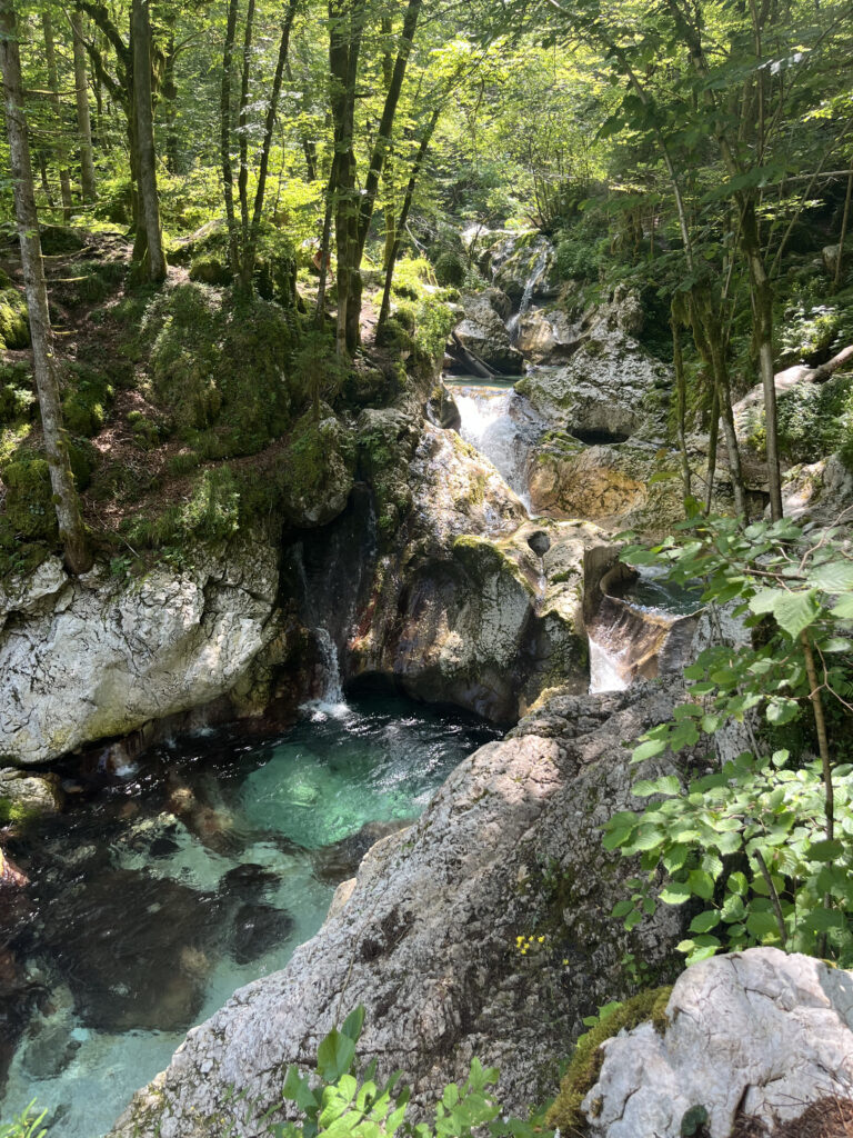 Sunikov vodni gaj, Lepena, Slovénie