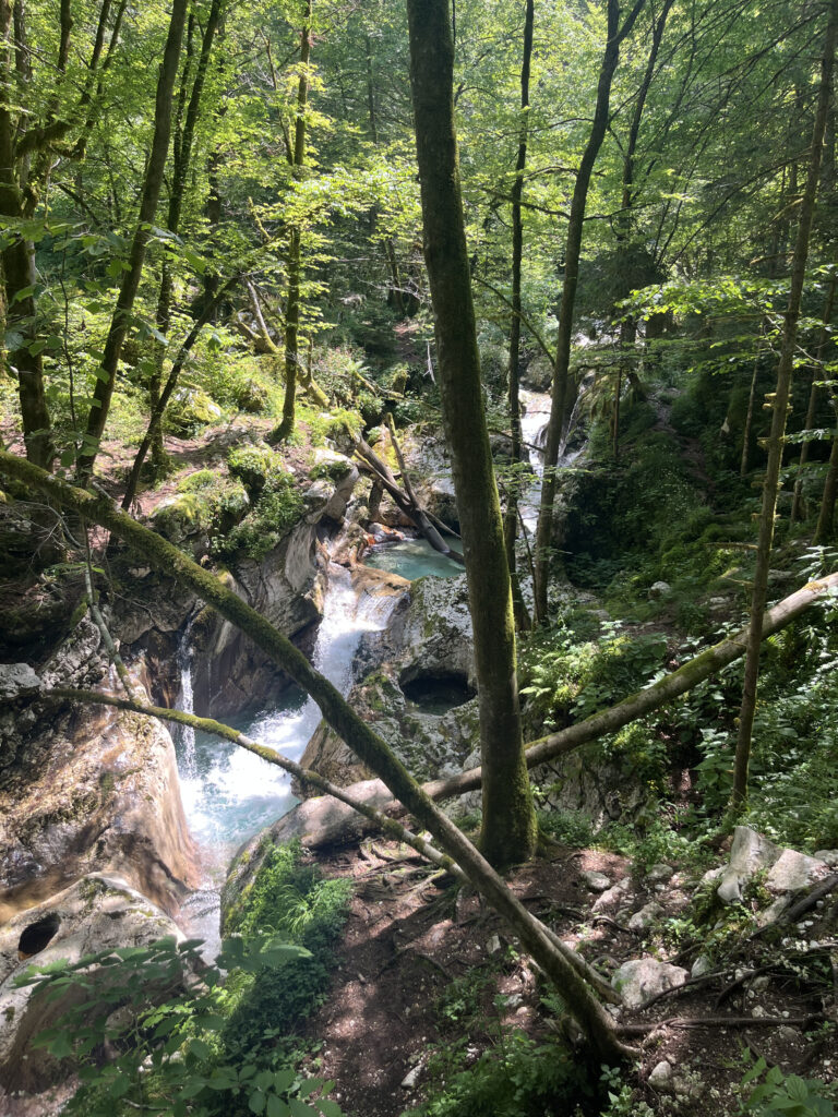Sunikov vodni gaj, Lepena, Slovénie