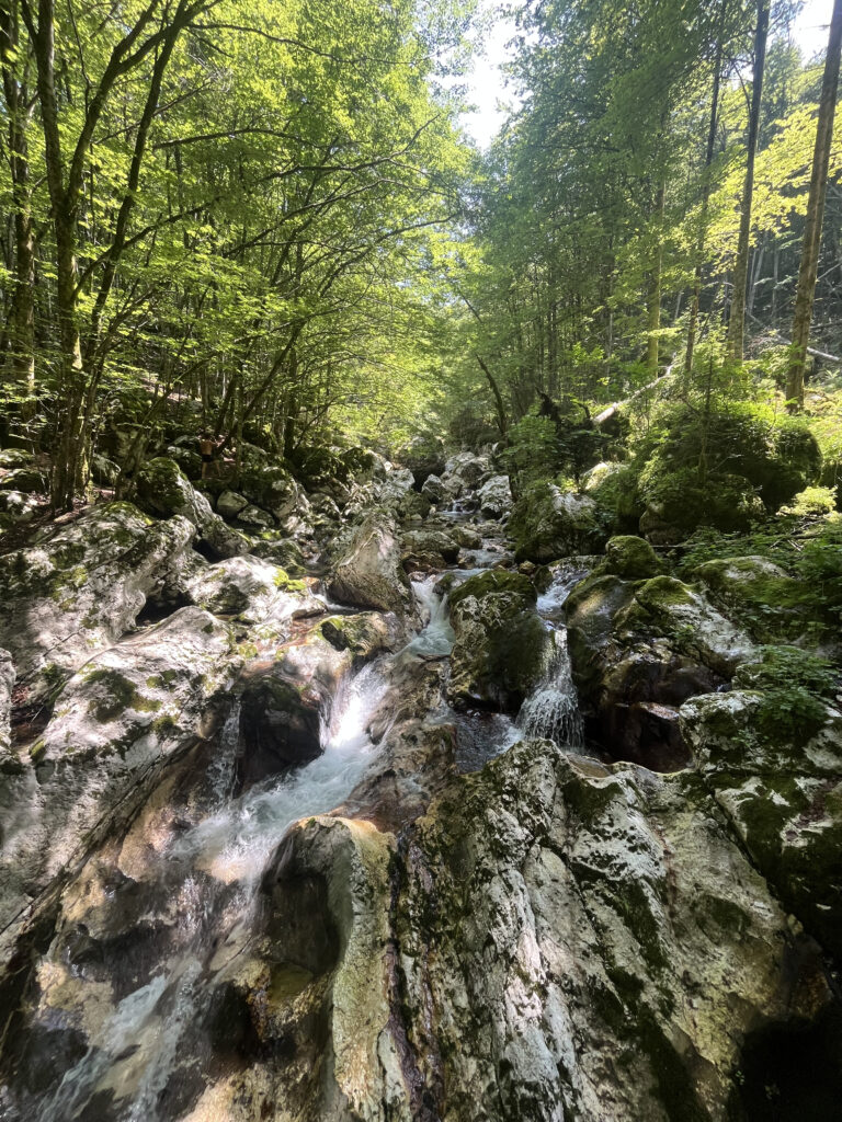 Sunikov vodni gaj, Lepena, Slovénie