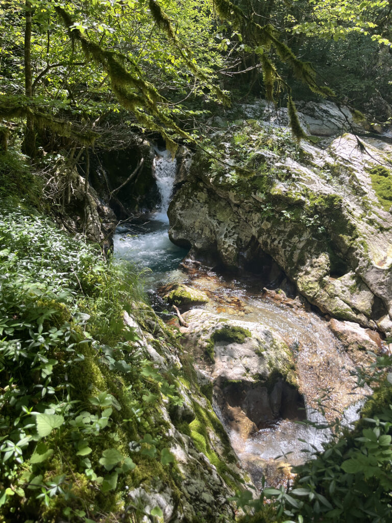 Sunikov vodni gaj, Lepena, Slovénie