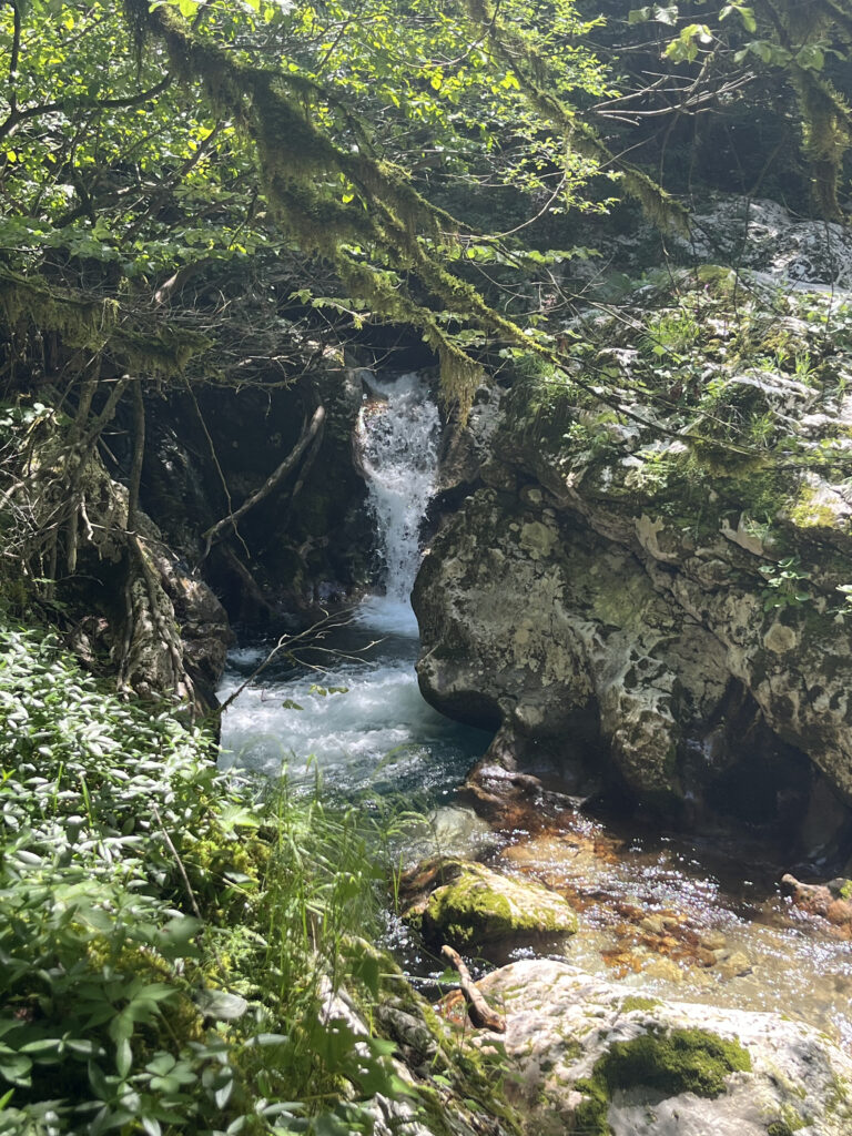 Sunikov vodni gaj, Lepena, Slovénie