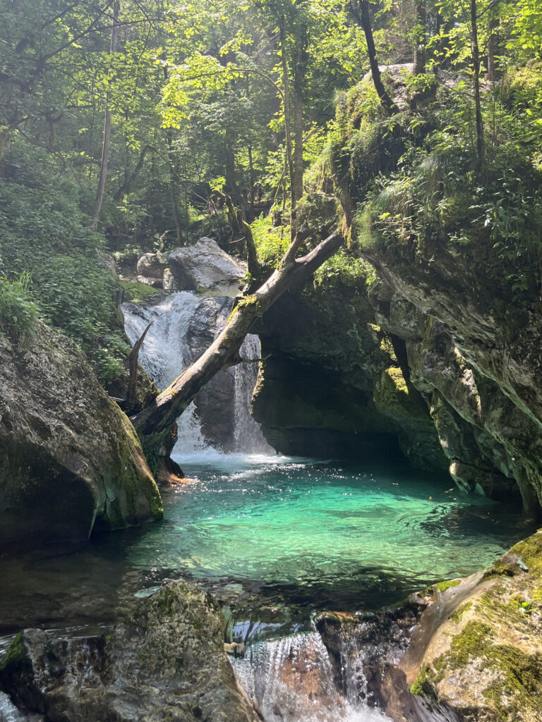 Sunikov vodni gaj, Lepena, Slovénie