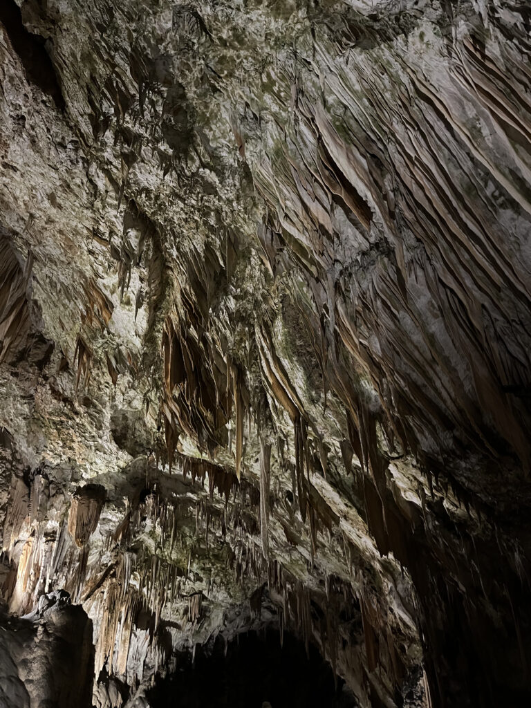 Grotte de Postojna