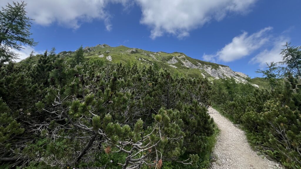 Visevnik, vue sur le Triglav, Slovénie