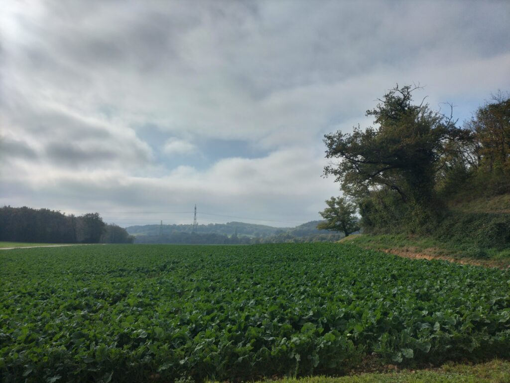 Etape de la Via Rhôna entre Groslée et l'Isle de la Serre
