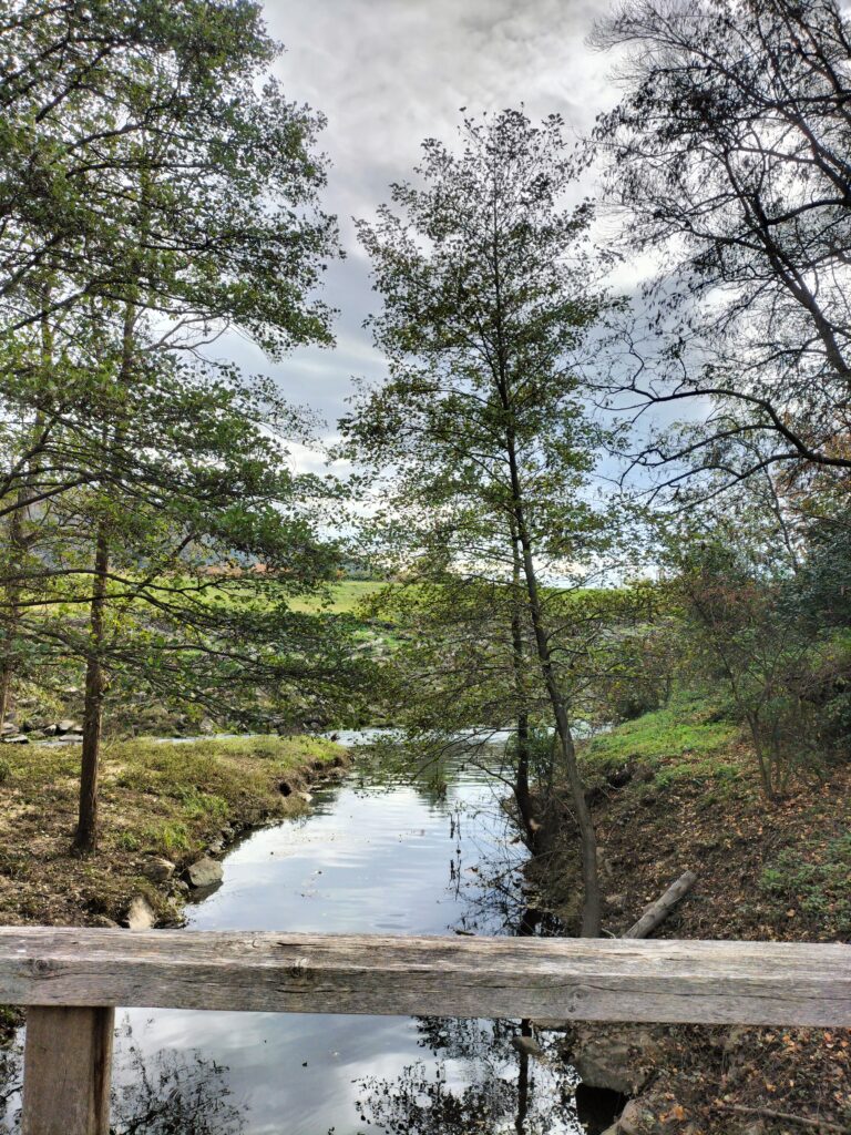 Etape de la Via Rhôna entre Tournon-sur-Rhône et Saint-Rambert-d'Albon