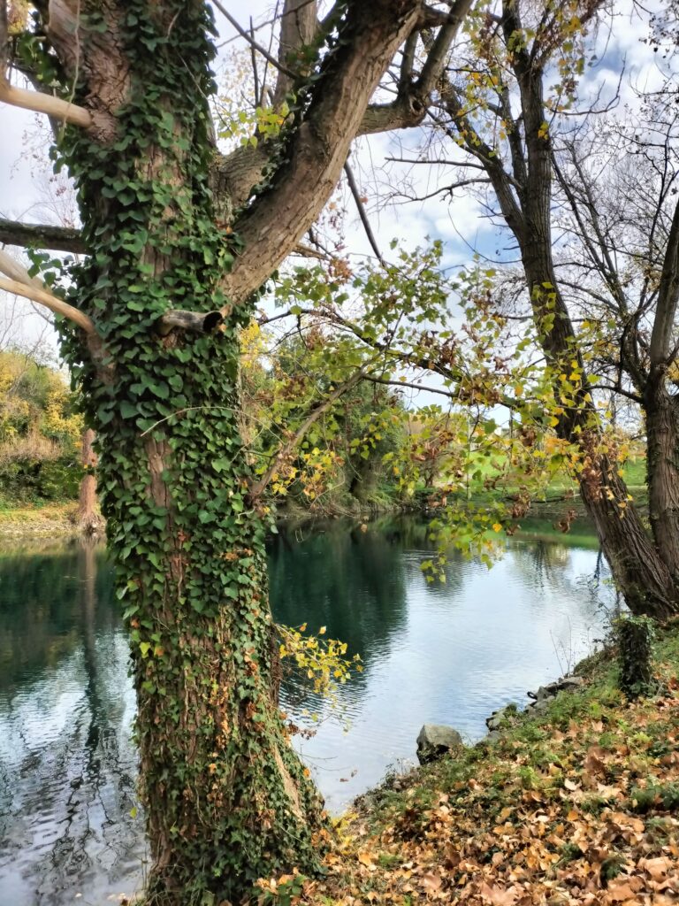 Etape de la Via Rhôna entre Tournon-sur-Rhône et Saint-Rambert-d'Albon