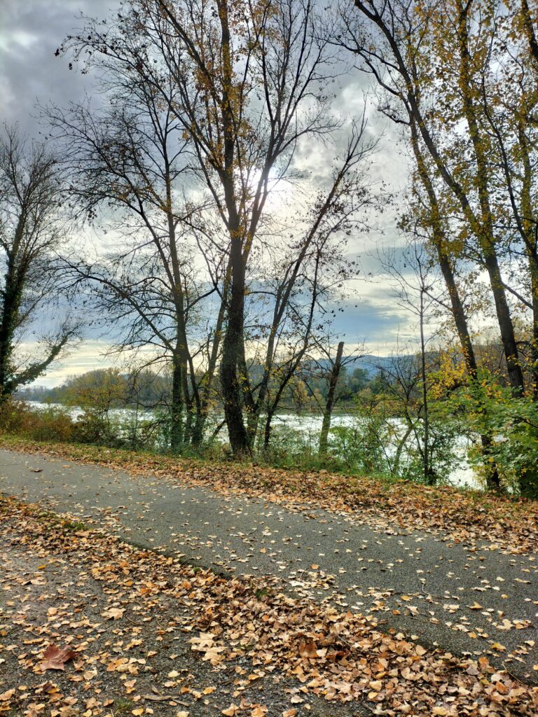 Etape de la Via Rhôna entre Tournon-sur-Rhône et Saint-Rambert-d'Albon