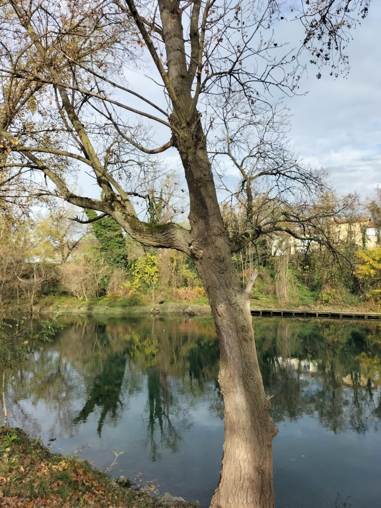 Etape de la Via Rhôna entre Tournon-sur-Rhône et Saint-Rambert-d'Albon