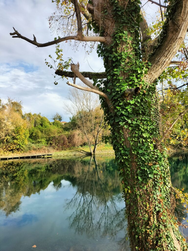 Etape de la Via Rhôna entre Tournon-sur-Rhône et Saint-Rambert-d'Albon