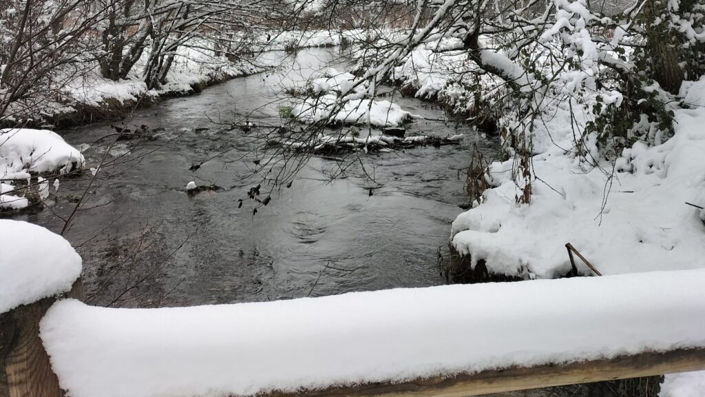 Rivière et arbres enneigés sur le tour du barrage du Sapt