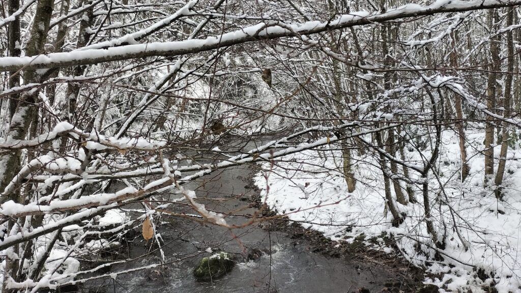 Rivière et arbres enneigés sur le tour du barrage du Sapt
