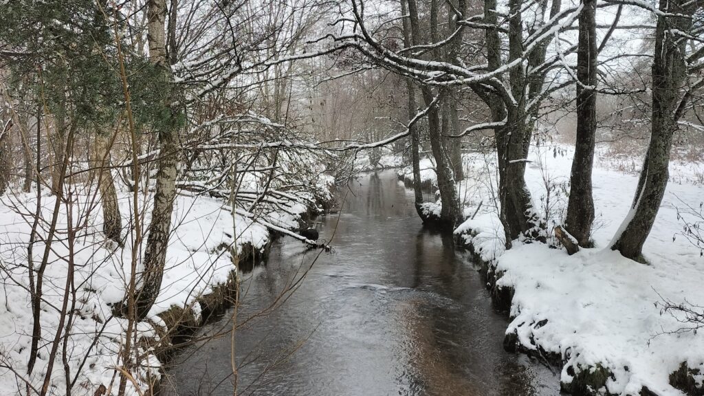 Rivière et arbres enneigés sur le tour du barrage du Sapt