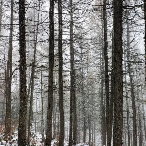 Barrage du Sapt GPX - Tour du barrage du Sapt