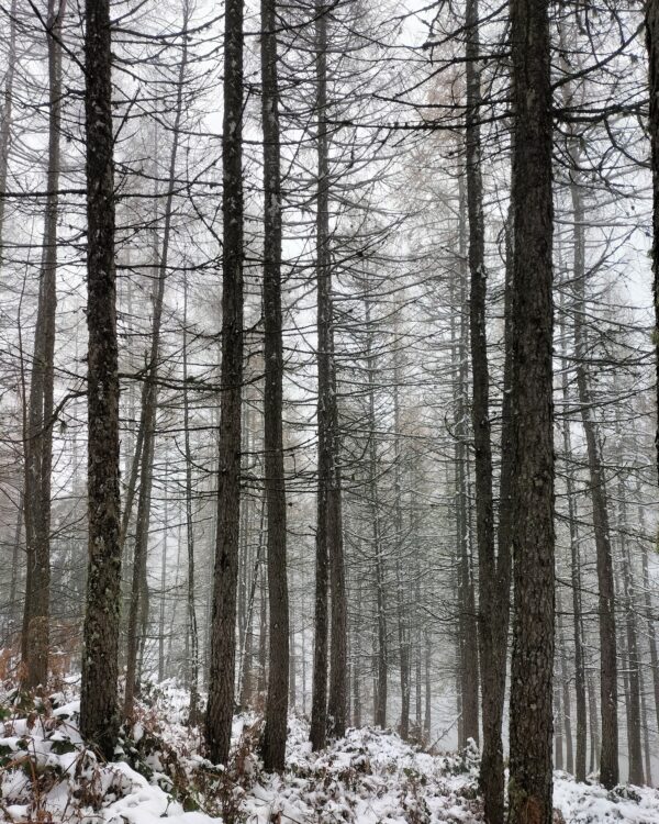 Barrage du Sapt GPX - Tour du barrage du Sapt