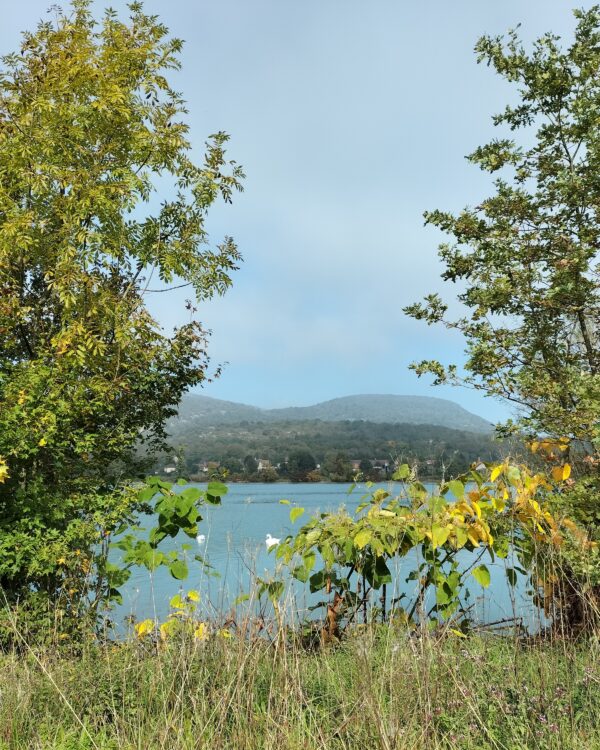 GPX - Via Rhôna (Groslée-Belley)