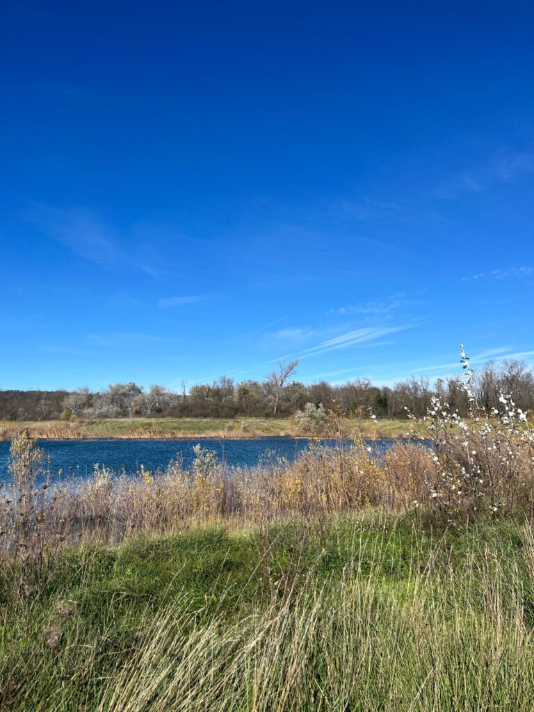 Vue sur le lac de Miribel