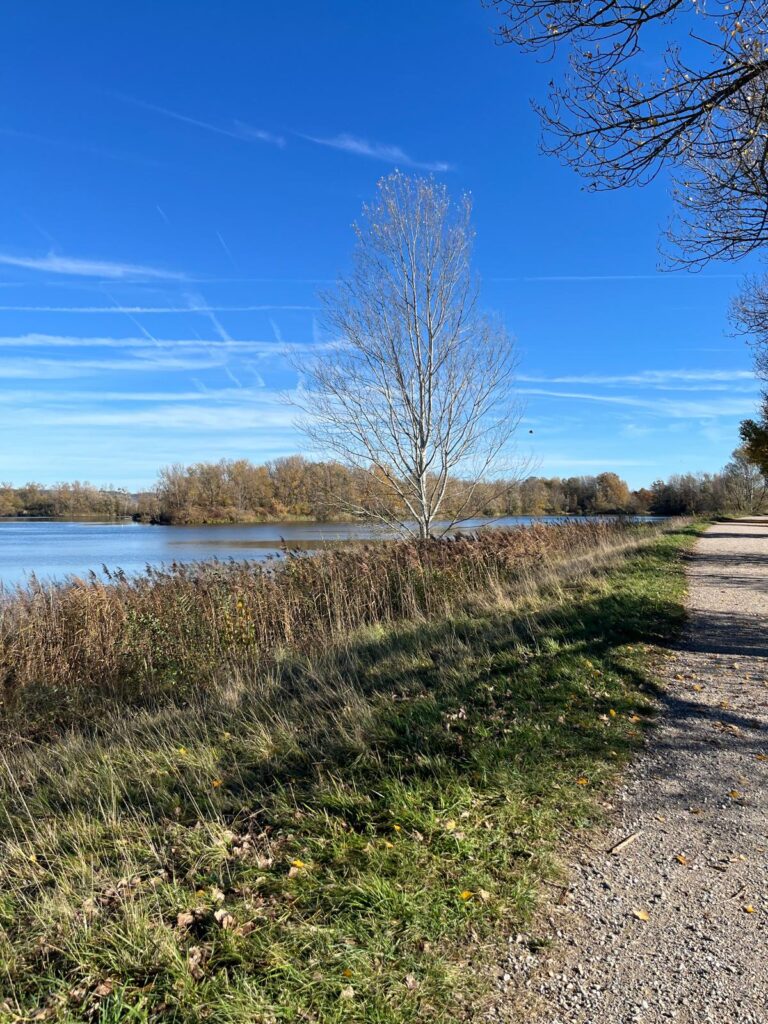 Vue sur le lac de Miribel