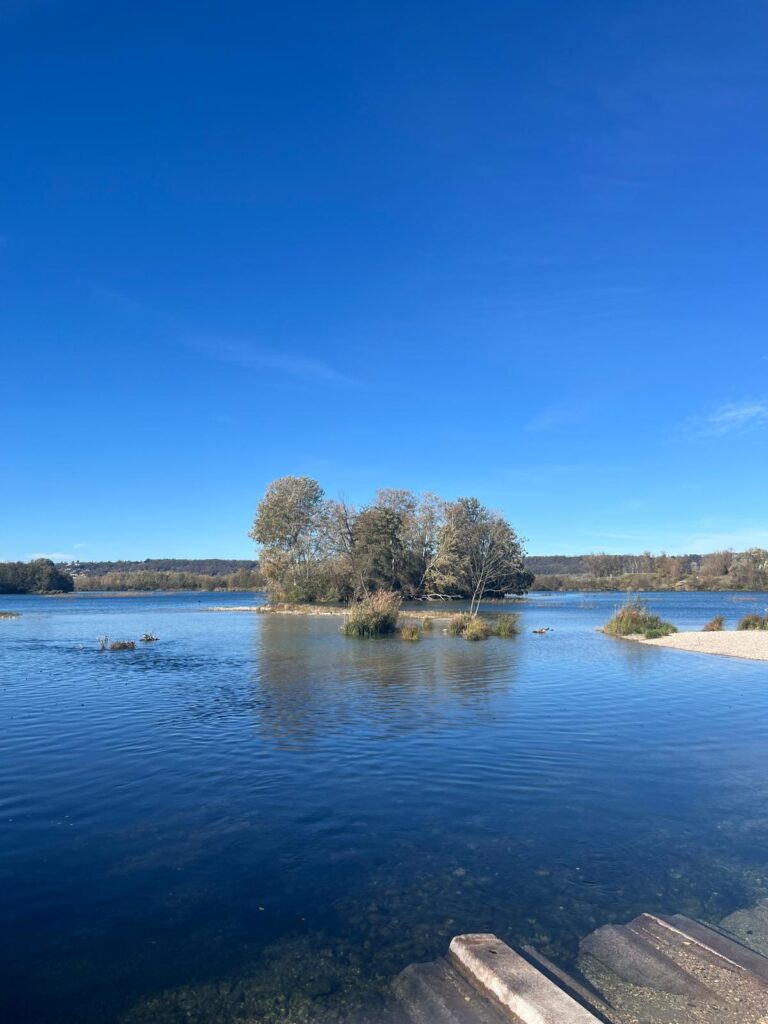 Vue sur le lac de Miribel