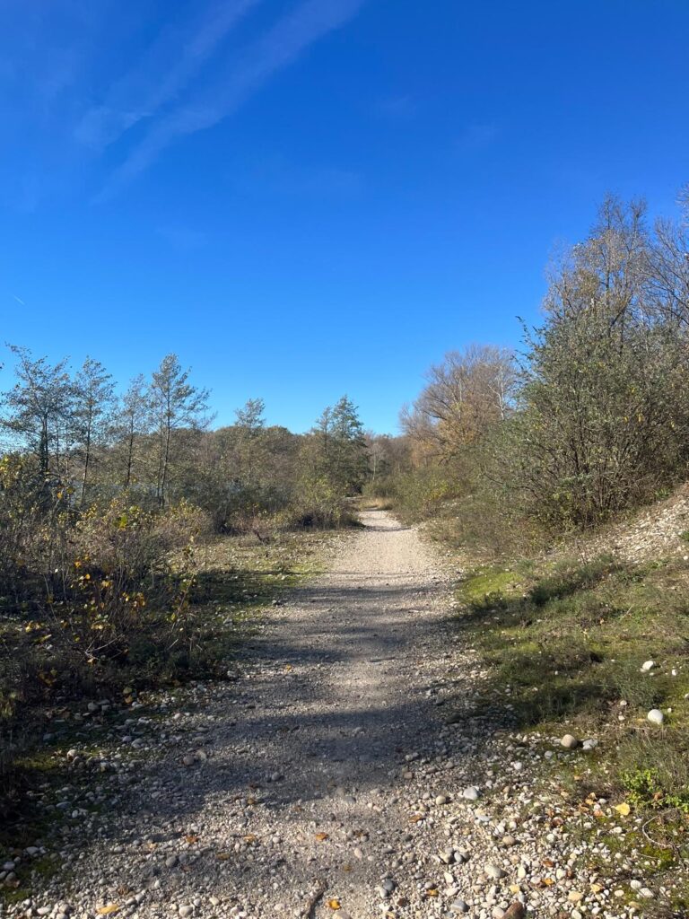 Chemin faisant le tour du lac de Miribel