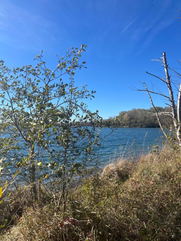 Vue sur le lac de Miribel