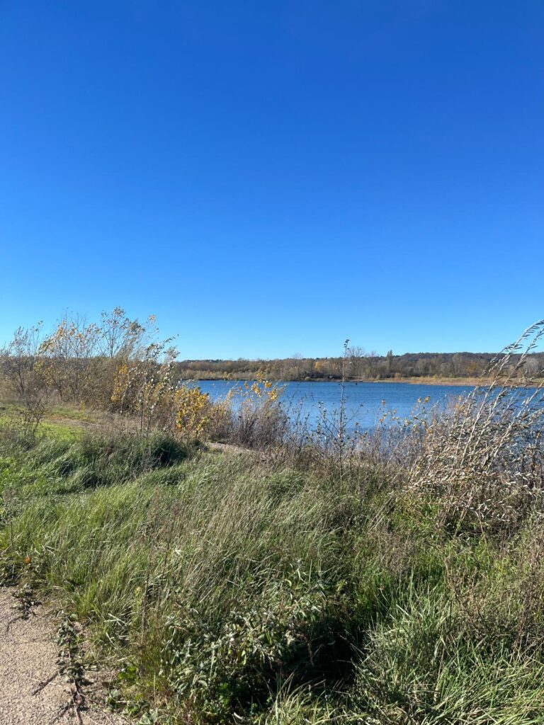 Vue sur le lac de Miribel