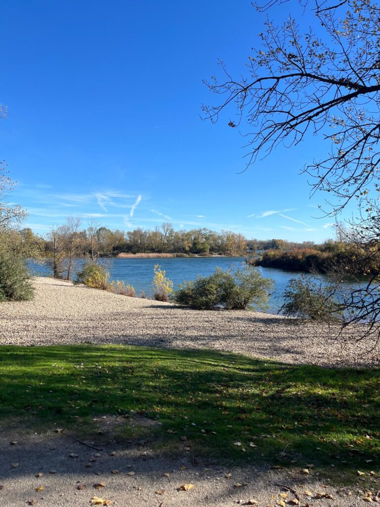 Vue sur le lac de Miribel