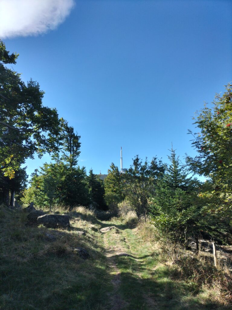 Vue sur le crêt de l'Oeillon