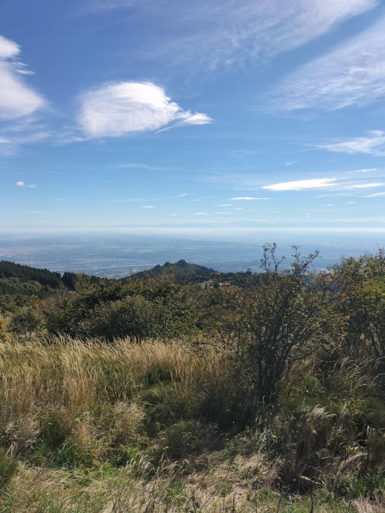 Vue sur la vallée du Rhône