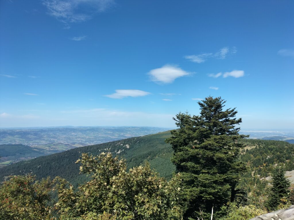 Vue sur la vallée du Rhône avec des arbres devant