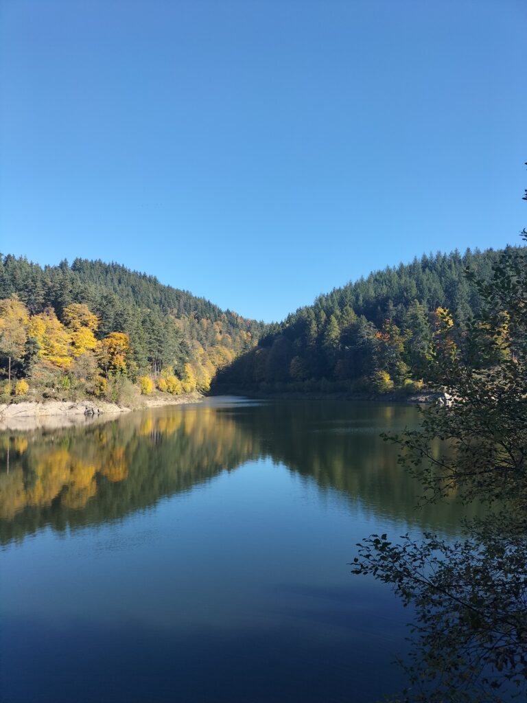 Barrage du Pas du Riot