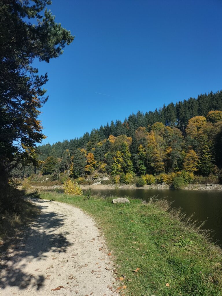 Barrage du Pas du Riot entouré d'arbres aux couleurs automnales