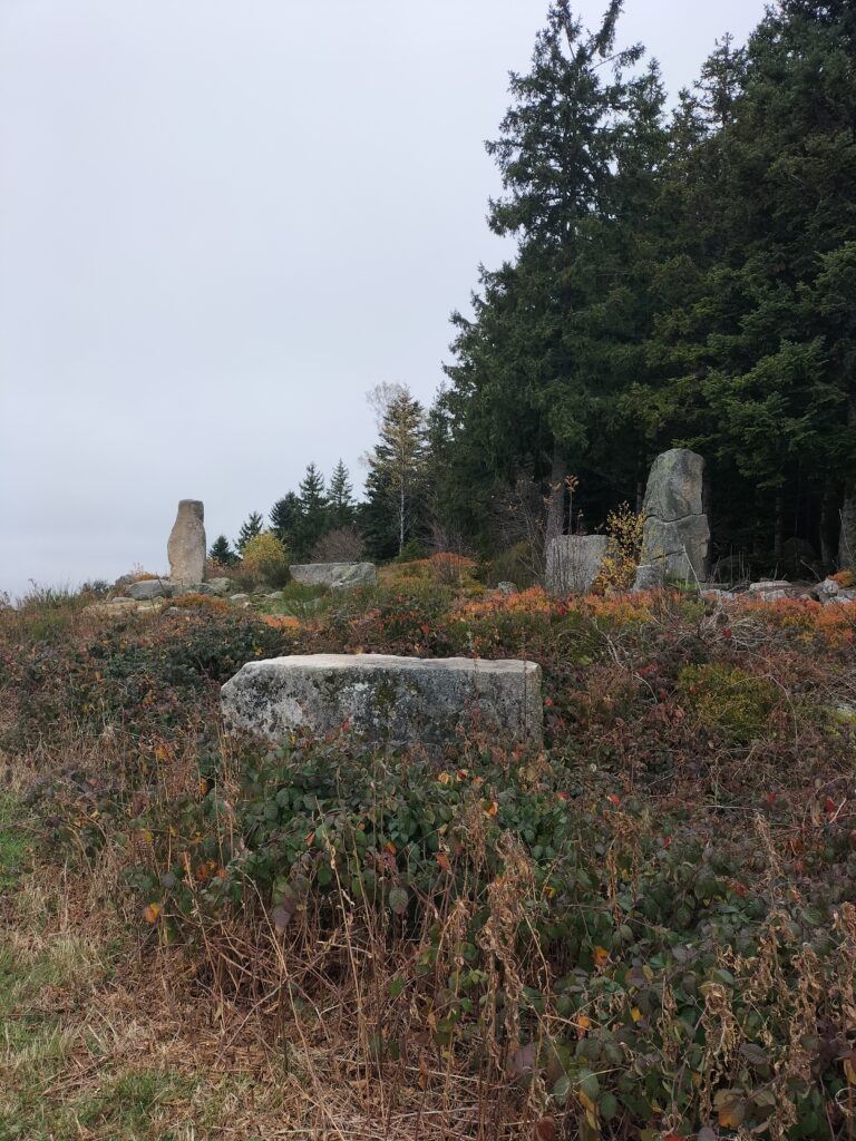 Pierres d'un site mégalithique
