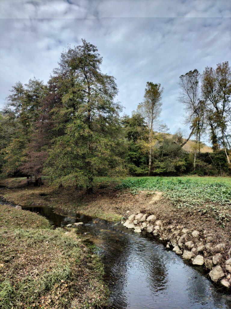 Rivière tranquille entourée d'arbres.